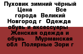 Пуховик зимний чёрный › Цена ­ 2 500 - Все города, Великий Новгород г. Одежда, обувь и аксессуары » Женская одежда и обувь   . Мурманская обл.,Полярные Зори г.